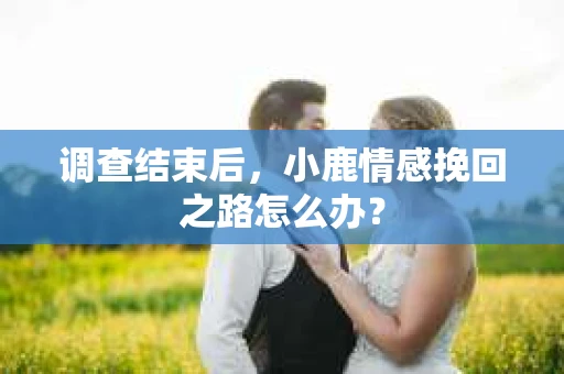 调查结束后，小鹿情感挽回之路怎么办？