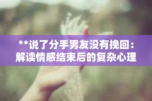 **说了分手男友没有挽回：解读情感结束后的复杂心理与现实**