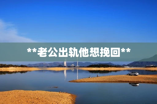 **老公出轨他想挽回**