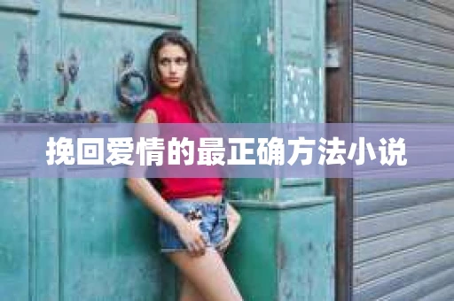 挽回爱情的最正确方法小说