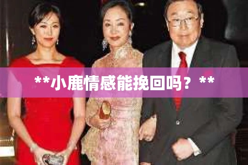 **小鹿情感能挽回吗？**