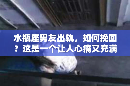 水瓶座男友出轨，如何挽回？这是一个让人心痛又充满挑战的问题。在爱情的世界里，我们总是希望找到那个对的人，但现实往往不尽如人意。今天，就让我们一起来探讨一下，当水瓶座男友出轨时，我们该如何挽回这段感情。