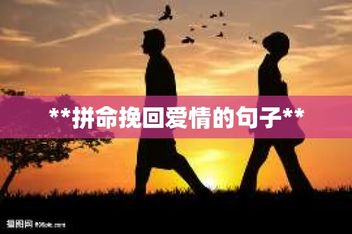 **拼命挽回爱情的句子** **拼命挽回爱情的句子**