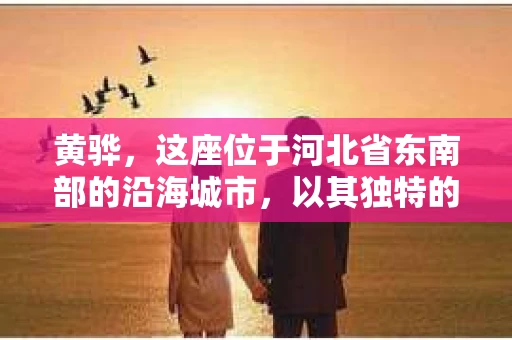 黄骅，这座位于河北省东南部的沿海城市，以其独特的地理位置和丰富的历史文化而闻名。然而，在这座城市中，还有一群人，他们以另一种方式默默守护着社会的公平与正义——私家侦探。今天，我们就来聊聊黄骅的私家侦探，看看他们是如何在这个城市中发挥作用的。
