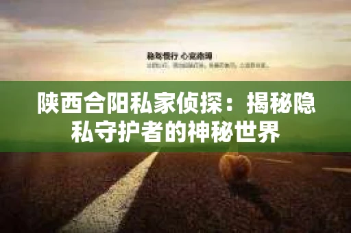 陕西合阳私家侦探：揭秘隐私守护者的神秘世界