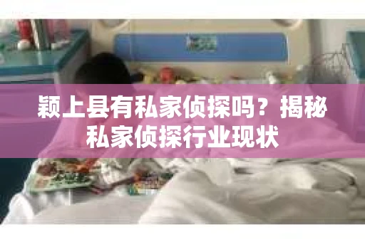 颖上县有私家侦探吗？揭秘私家侦探行业现状
