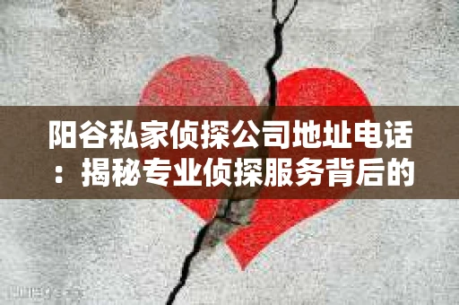 阳谷私家侦探公司地址电话：揭秘专业侦探服务背后的故事
