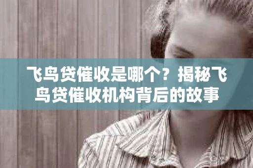 飞鸟贷催收是哪个？揭秘飞鸟贷催收机构背后的故事