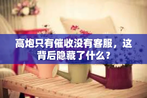 高炮只有催收没有客服，这背后隐藏了什么？