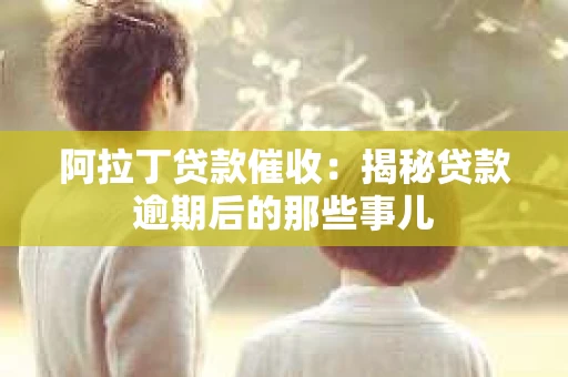 阿拉丁贷款催收：揭秘贷款逾期后的那些事儿