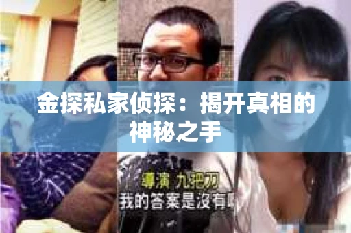 金探私家侦探：揭开真相的神秘之手