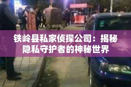 铁岭县私家侦探公司：揭秘隐私守护者的神秘世界