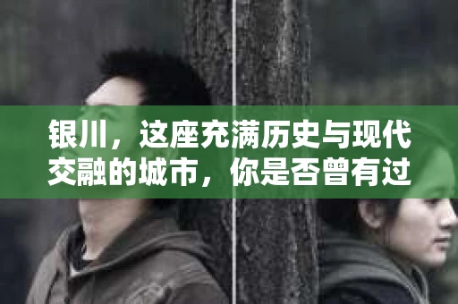 银川，这座充满历史与现代交融的城市，你是否曾有过这样的疑问：银川有私家侦探公司吗？今天，就让我带你一起揭开这个谜团。