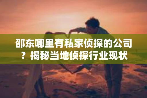 邵东哪里有私家侦探的公司？揭秘当地侦探行业现状