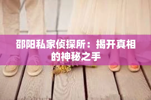 邵阳私家侦探所：揭开真相的神秘之手