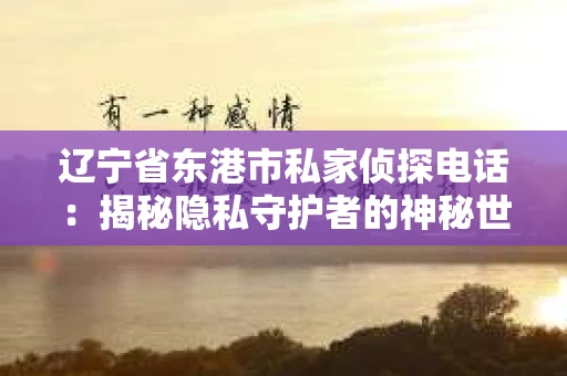 辽宁省东港市私家侦探电话：揭秘隐私守护者的神秘世界