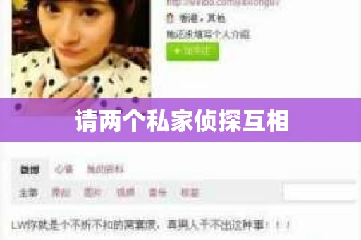 请两个私家侦探互相