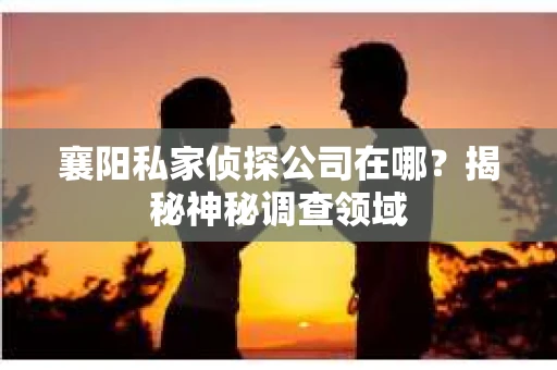 襄阳私家侦探公司在哪？揭秘神秘调查领域