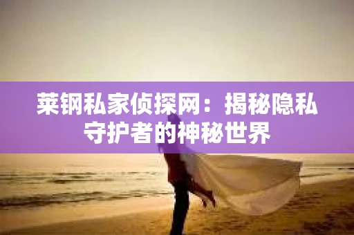 莱钢私家侦探网：揭秘隐私守护者的神秘世界