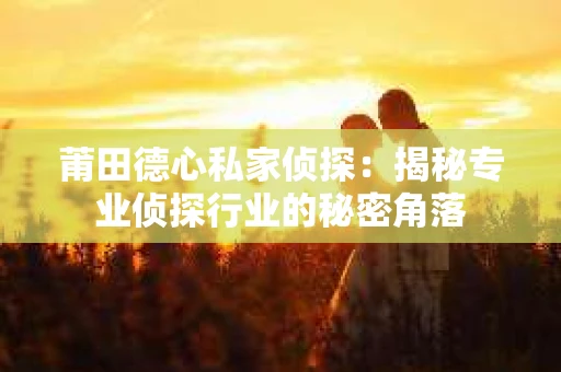 莆田德心私家侦探：揭秘专业侦探行业的秘密角落