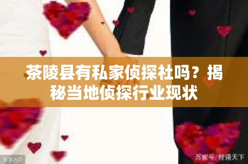 茶陵县有私家侦探社吗？揭秘当地侦探行业现状