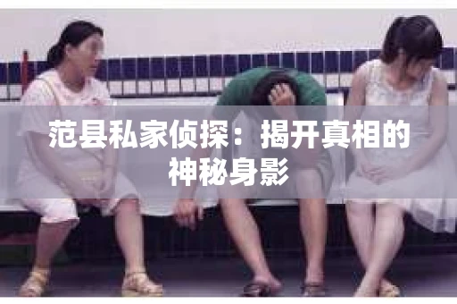 范县私家侦探：揭开真相的神秘身影