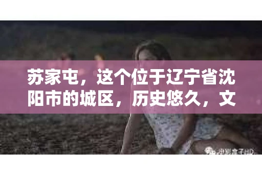 苏家屯，这个位于辽宁省沈阳市的城区，历史悠久，文化底蕴深厚。近年来，随着社会的发展，人们对于私家侦探的需求也逐渐增加。那么，苏家屯有私家侦探吗？今天，我们就来聊聊这个话题。