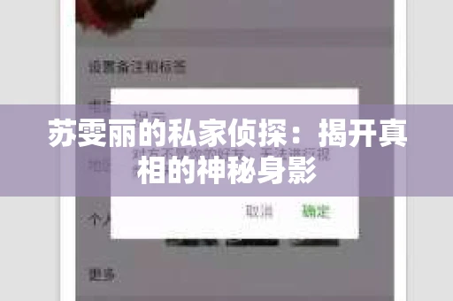 苏雯丽的私家侦探：揭开真相的神秘身影