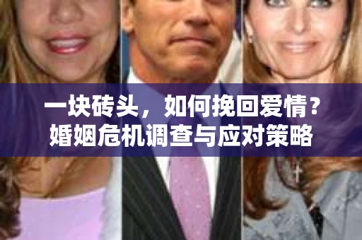 一块砖头,如何挽回爱情?婚姻危机调查与应对策略 一块砖头,如何挽回爱情?婚姻危机调查与应对策略