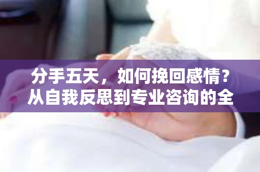 分手五天，如何挽回感情？从自我反思到专业咨询的全面解决方案