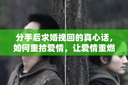 分手后求婚挽回的真心话，如何重拾爱情，让爱情重燃？