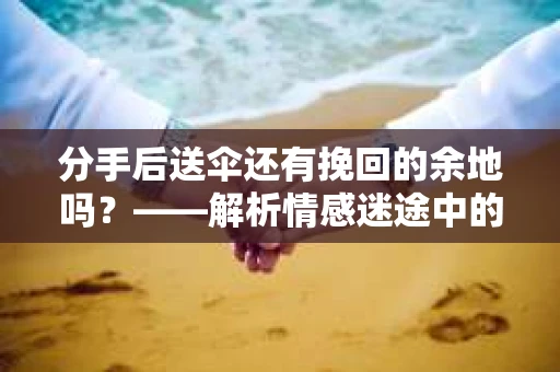 分手后送伞还有挽回的余地吗？——解析情感迷途中的决策