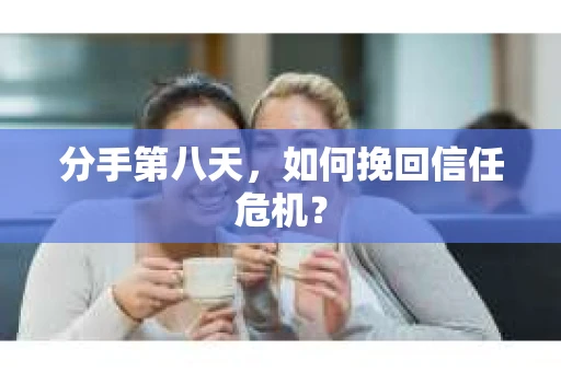 分手第八天，如何挽回信任危机？