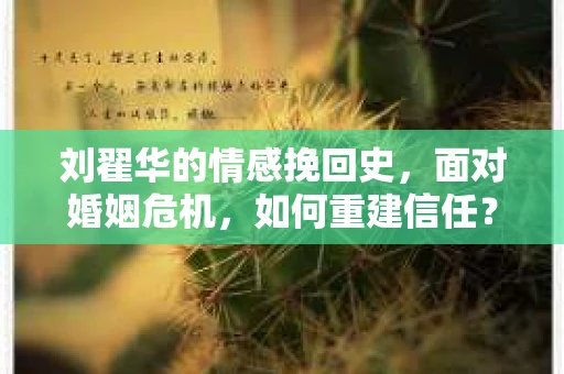 刘翟华的情感挽回史，面对婚姻危机，如何重建信任？